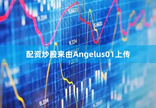 配资炒股来由Angelus01上传