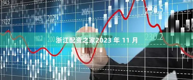 浙江配资之家2023 年 11 月
