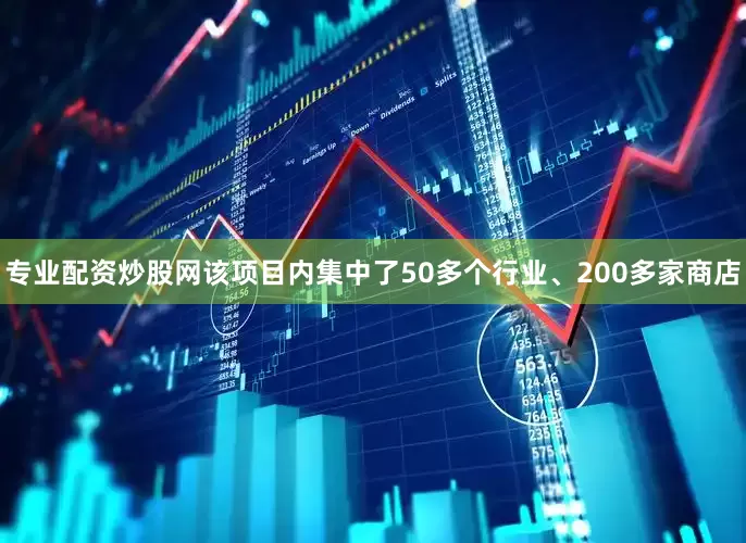 专业配资炒股网该项目内集中了50多个行业、200多家商店